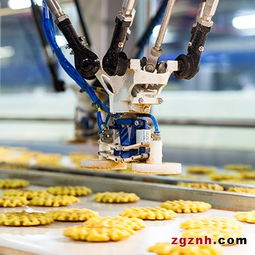 阿智商铺携手上海发那科 工业机器人M-2iA助力食品包装效率提升50%